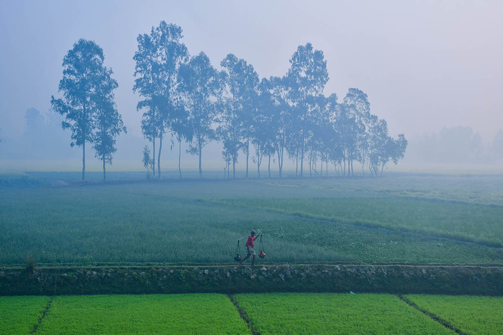 Winter Life In Villages Of Bangladesh By Md. Sharif Uddin