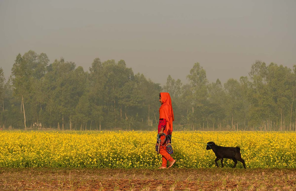 Winter Life In Villages Of Bangladesh By Md. Sharif Uddin