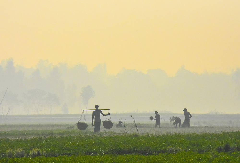 Winter Life In Villages Of Bangladesh By Md. Sharif Uddin