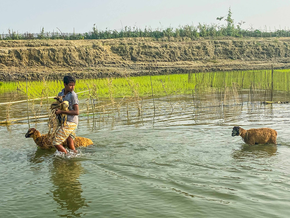 Winter Life In Villages Of Bangladesh By Md. Sharif Uddin