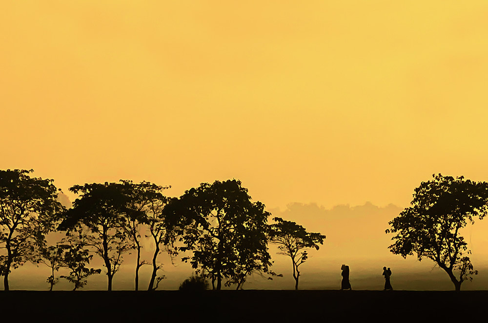 Winter Life In Villages Of Bangladesh By Md. Sharif Uddin