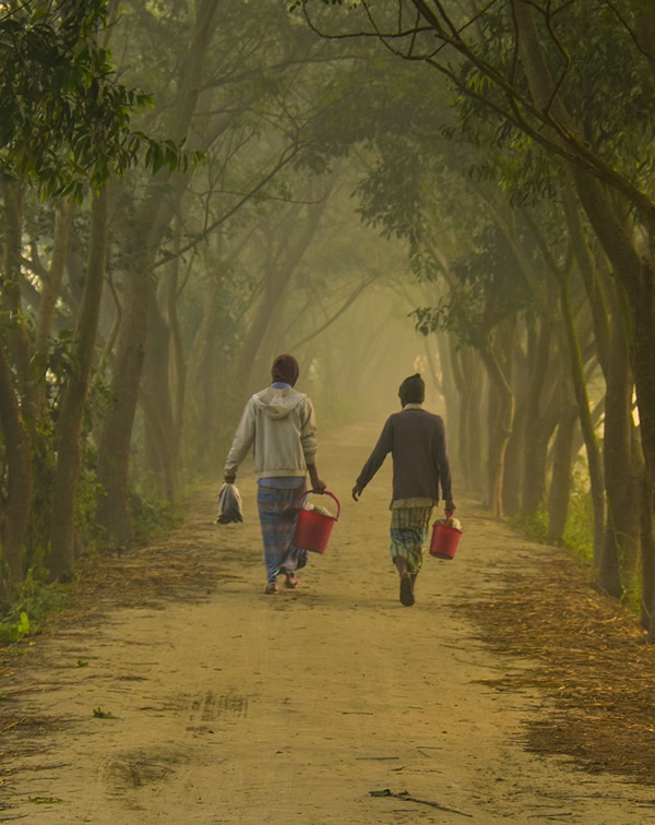 Winter Life In Villages Of Bangladesh By Md. Sharif Uddin