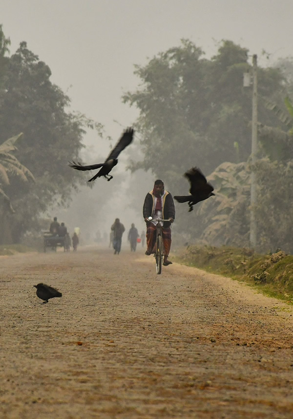 Winter Life In Villages Of Bangladesh By Md. Sharif Uddin