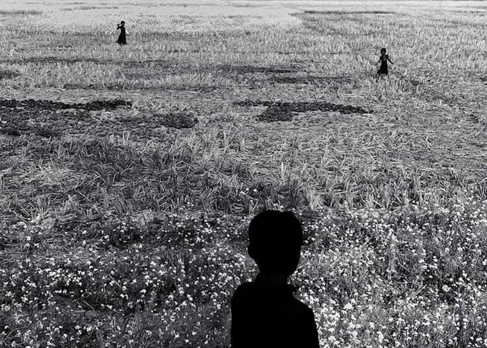 Life Around The Mustard Field By Md. Mahatur Rahman