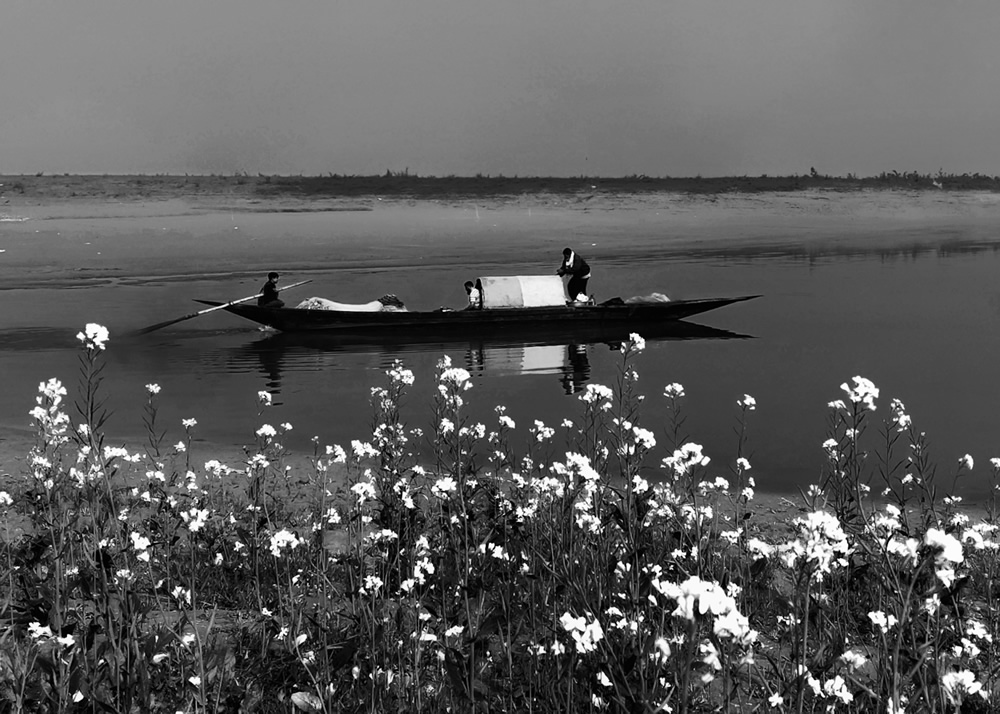 Life Around The Mustard Field By Md. Mahatur Rahman