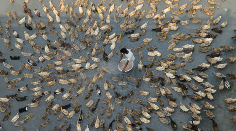 My Personal Best: Bangladeshi Photographer Tanzid Ahmed Apu