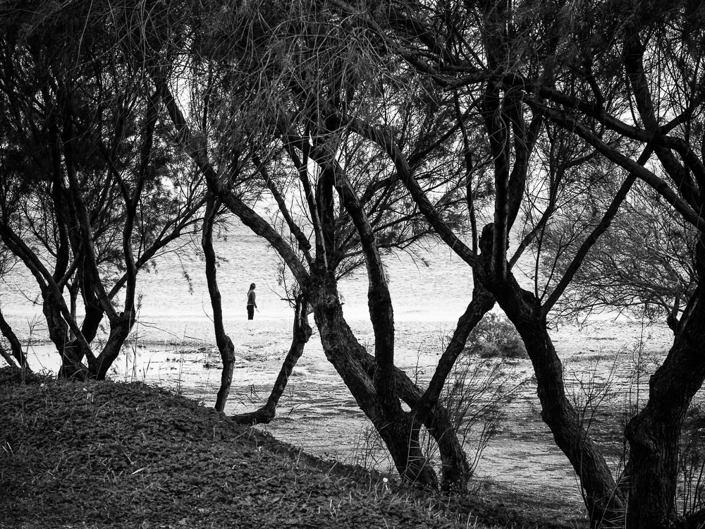 The Road Of Trees: Beautiful Photo Series By Antonis Giakoumakis