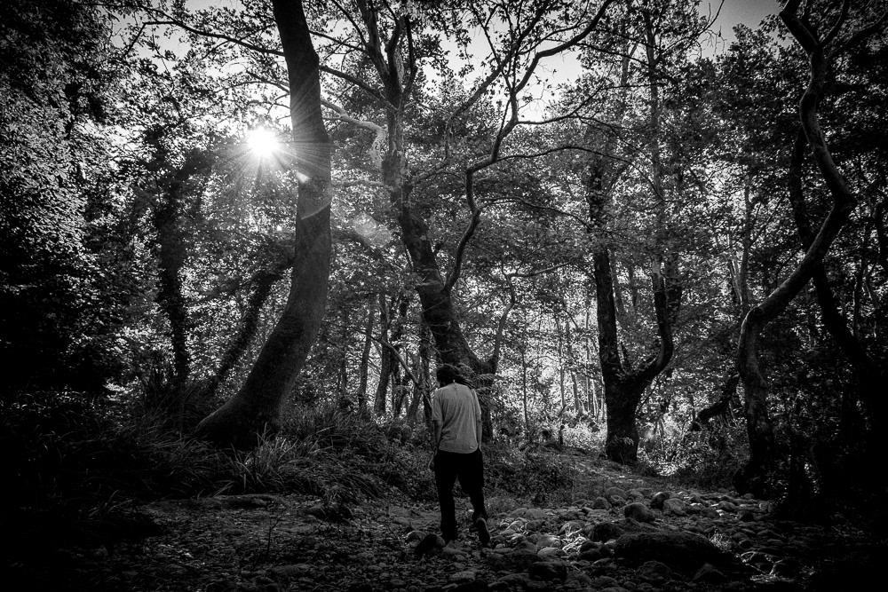 The Road Of Trees: Beautiful Photo Series By Antonis Giakoumakis