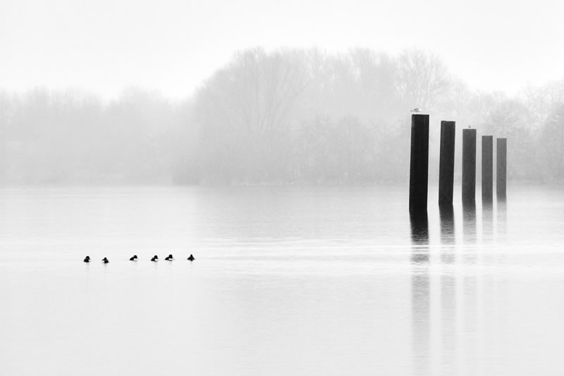 Winners of Black and White Minimalist Photography Prize 2021