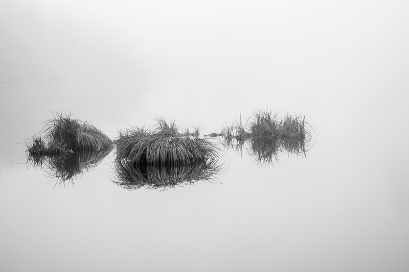 Winners of Black and White Minimalist Photography Prize 2021