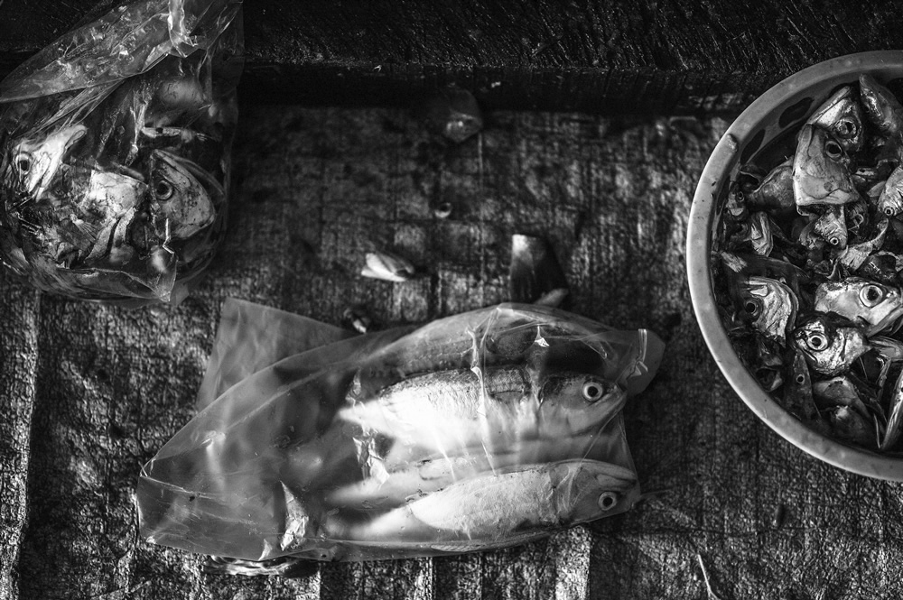 Malvan’s Bustling Fish Market: Photo Series by As Dnyaneshwar Vaidya