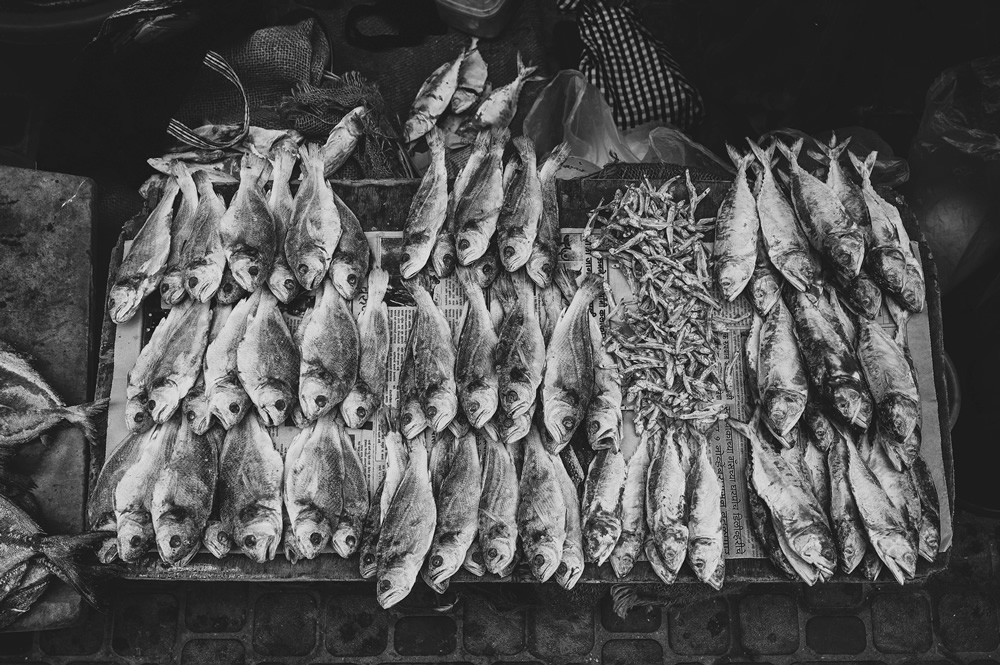 Malvan’s Bustling Fish Market: Photo Series by As Dnyaneshwar Vaidya