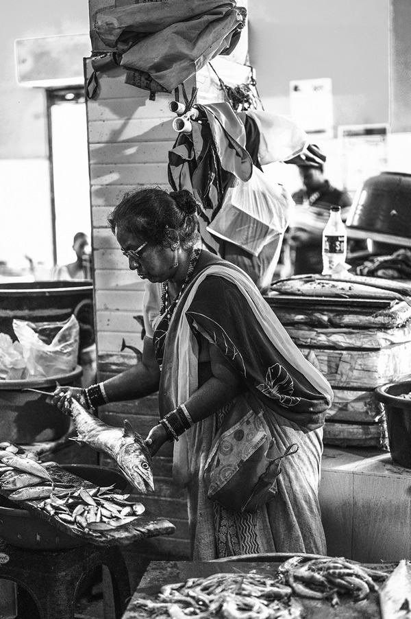 Malvan’s Bustling Fish Market: Photo Series by As Dnyaneshwar Vaidya