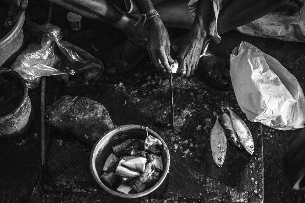 Malvan’s Bustling Fish Market: Photo Series by As Dnyaneshwar Vaidya