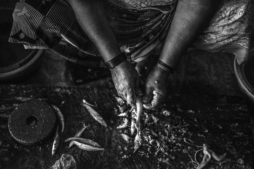 Malvan’s Bustling Fish Market: Photo Series by As Dnyaneshwar Vaidya