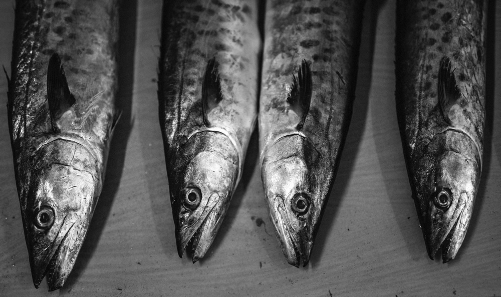 Malvan’s Bustling Fish Market: Photo Series by As Dnyaneshwar Vaidya