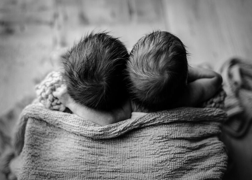 Newborn Twins In Chicago by Bethany Hope