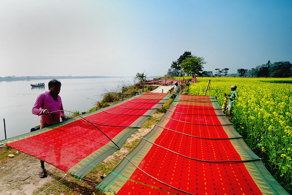 Processing Of Saree From Raw Yarn: Photo Series By Shaibal Nandi