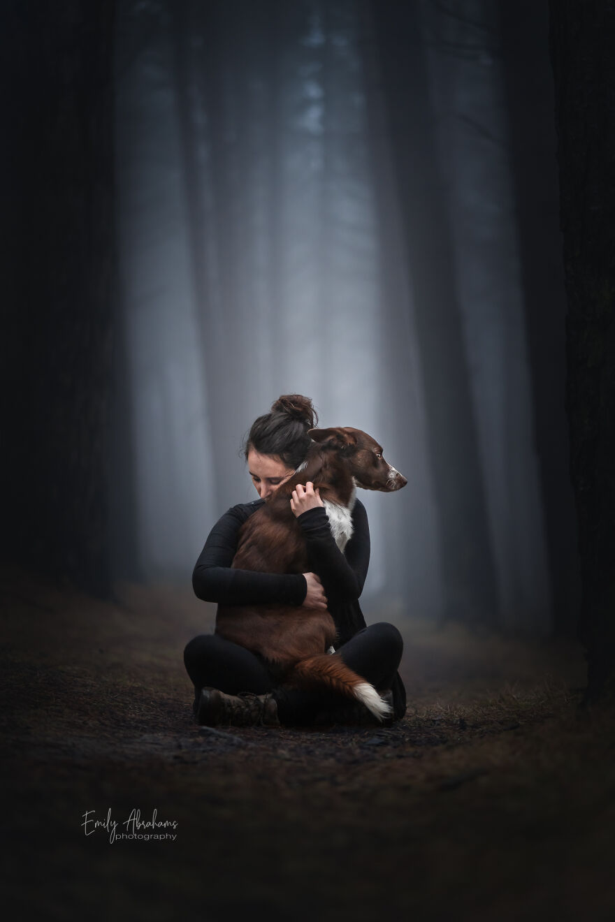 Stunning Photos Of My Two Border Collies By Emily Abrahams