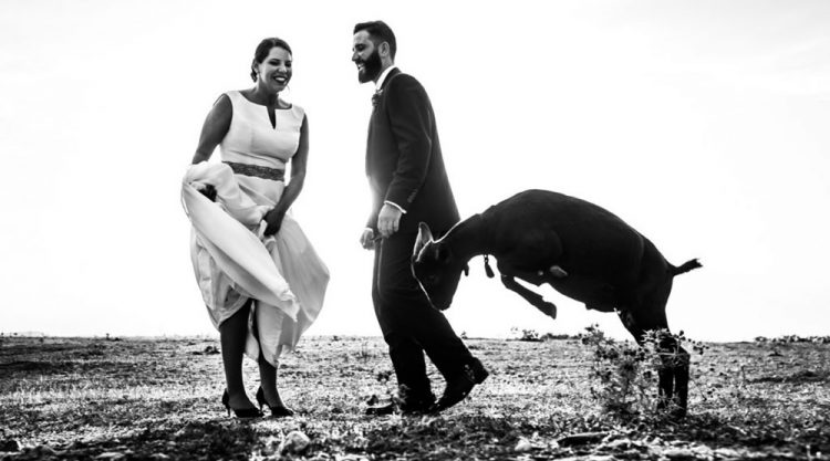 FdB Wedding Story: The Best Photographs Taken During A Wedding Day