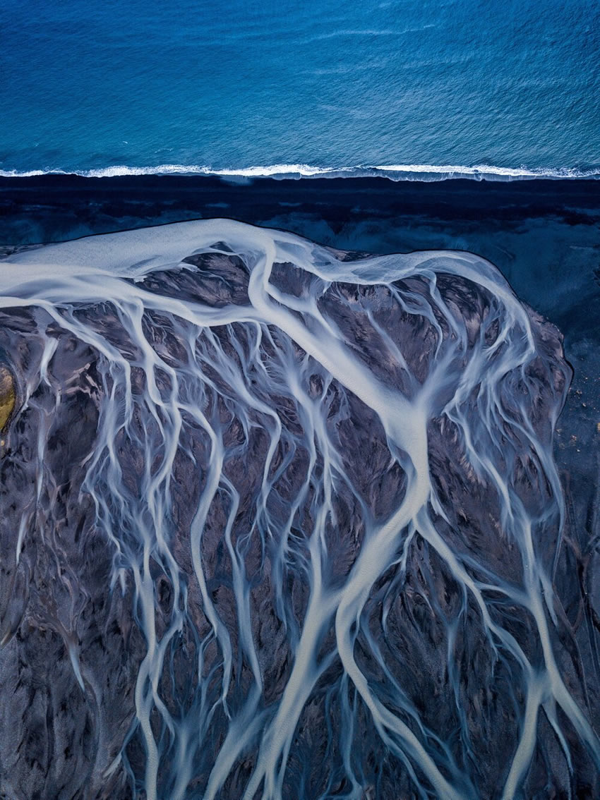 Winners of the 2020 World Nature Photography Awards