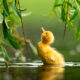 30 Finalists From The Bird Photographer Of The Year 2021 Competition