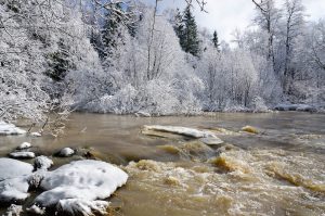 Eero Kukkonen, Finland