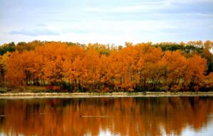 Jsheremeta, Canada