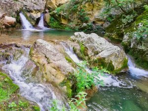 Anka Mrdak, Serbia