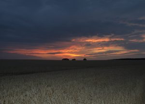 Jaroslaw Żejmo, Poland