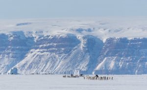 Mikael Larsen, Greenland