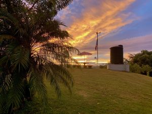 Ramón José Estrada, Puerto Rico