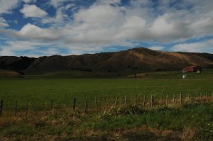 LadyB Birch, Australia