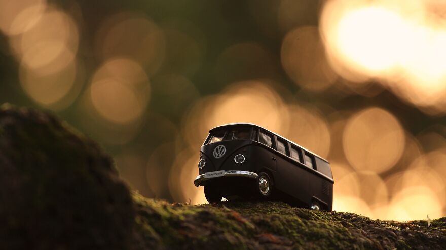 Blending Nature With Miniature By Anindo Rudro