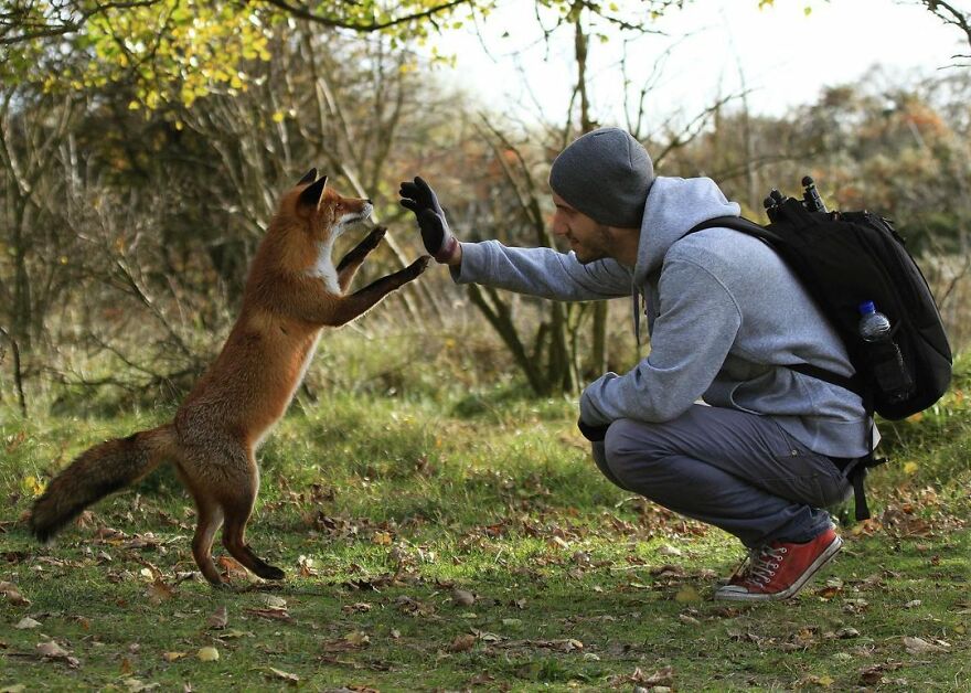 Austrian Wildlife Photography By Julian Rad