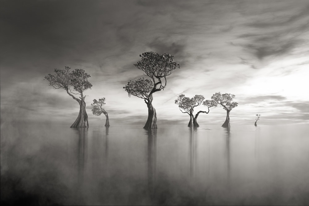 Winners Of Black and White Photo Competition By Masters Of Photography