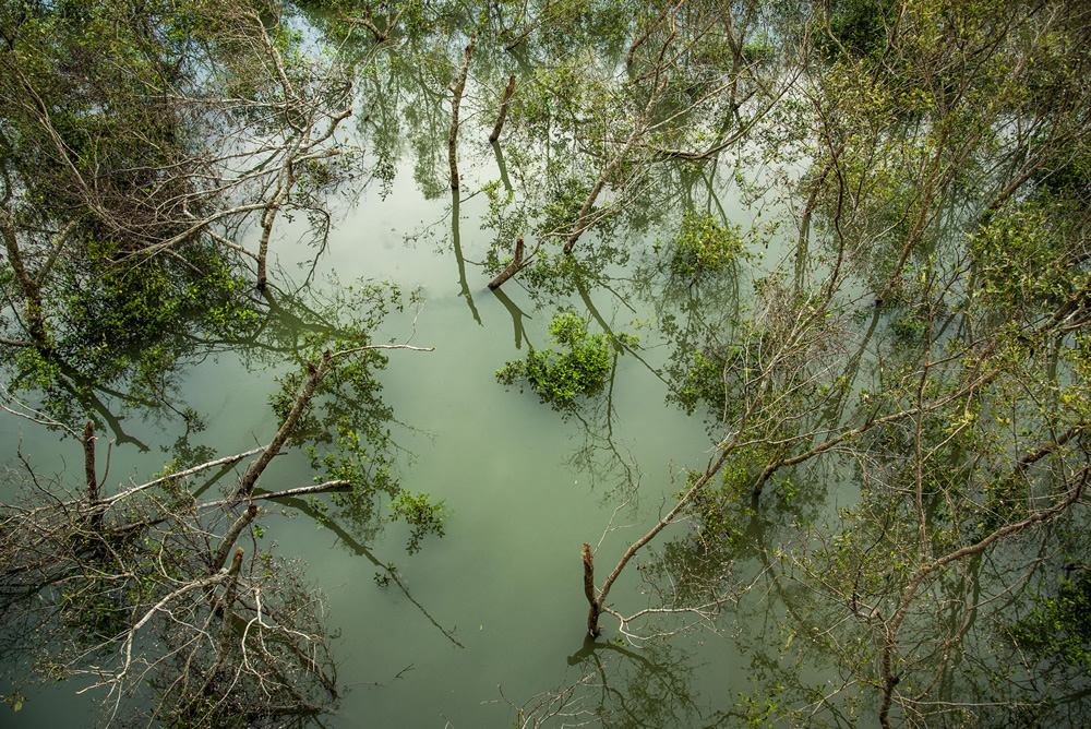 Destruction Of Nature & Life By Super cyclone Amphan By Sudipta Chatterjee