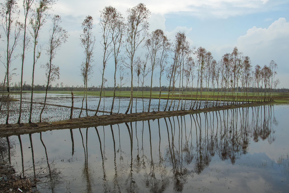 Destruction Of Nature & Life By Super cyclone Amphan By Sudipta Chatterjee