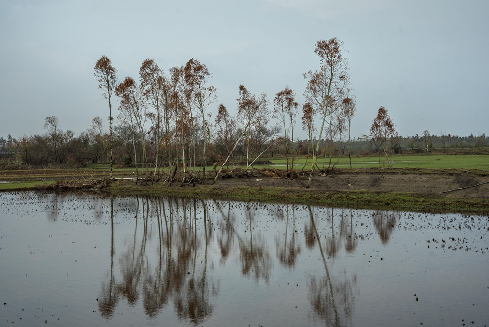 Destruction Of Nature & Life By Super cyclone Amphan By Sudipta Chatterjee