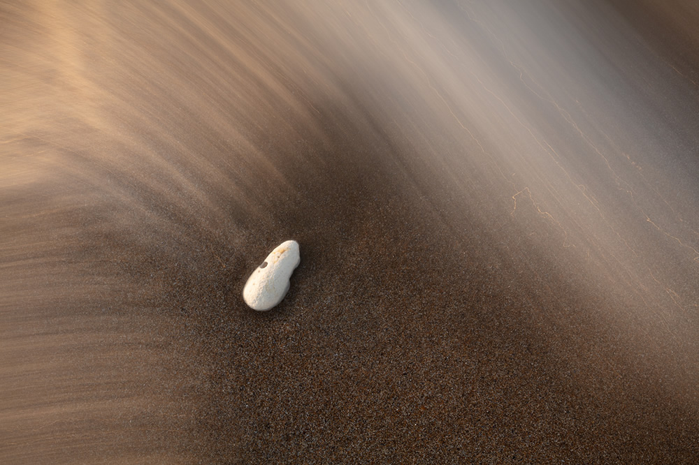 Ghost In The Shell: Organic Objects Found At The Tideline By Rachael Talibart