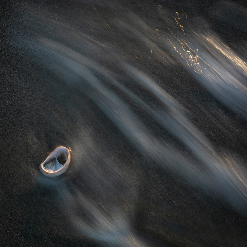 Ghost In The Shell: Organic Objects Found At The Tideline By Rachael Talibart