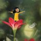 Yellow Girl: The Little Character Interacts With The Macro World By Vimal Chandran