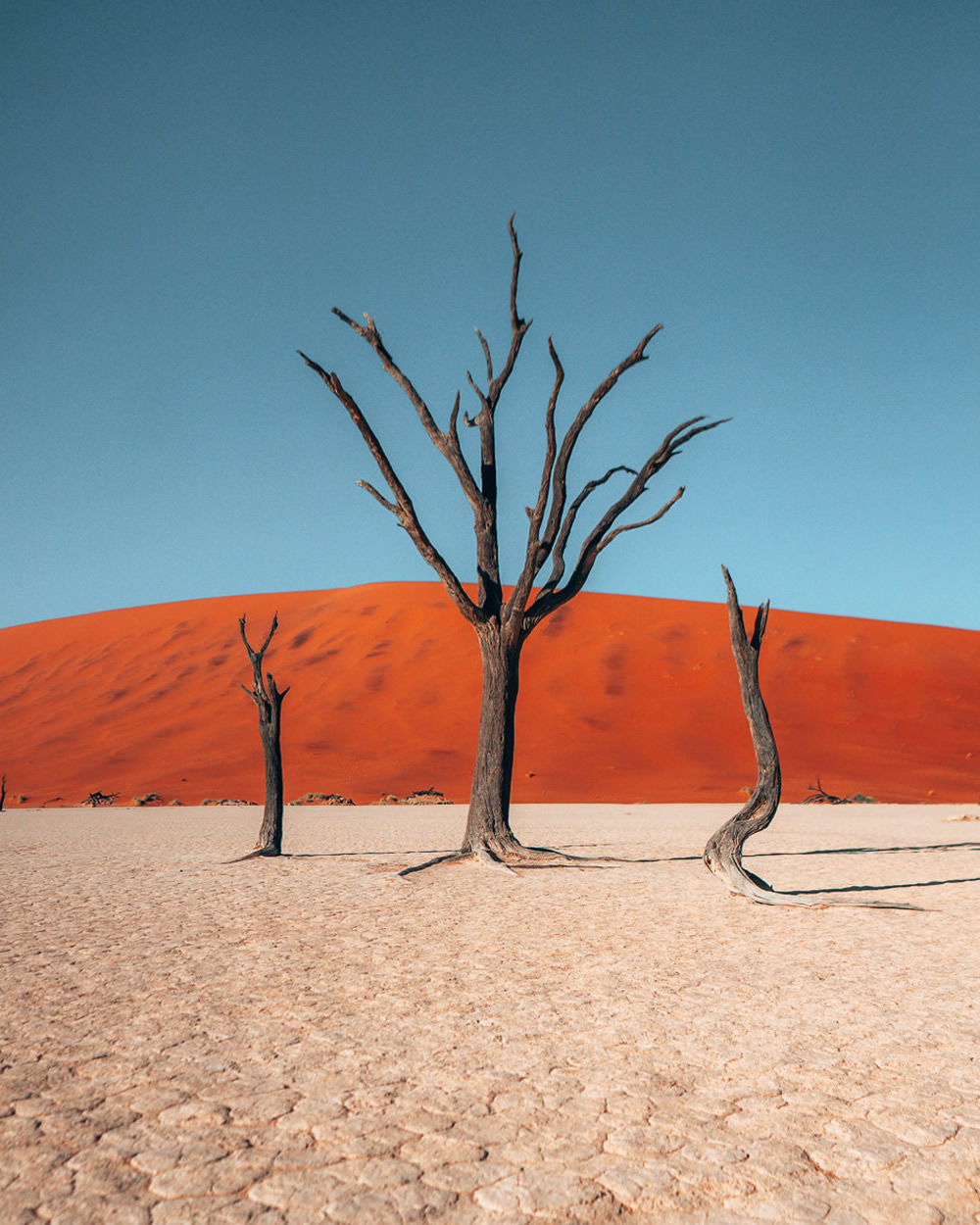 Namibia, Full Of Life: Beautiful Desert Photography By Tobias Hagg