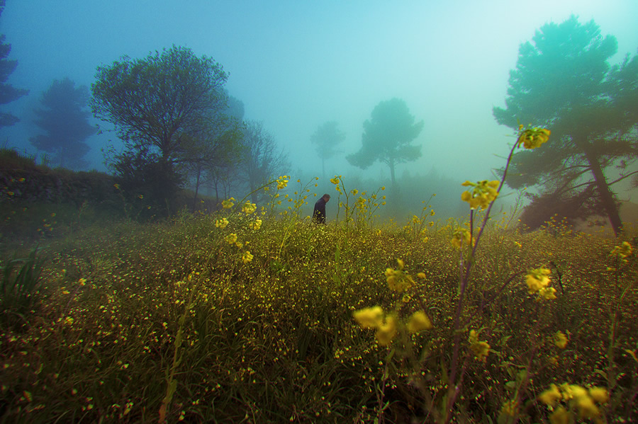 The Velvet Kingdom: Diverse Regions Of Southern Europe By Henri Prestes