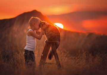 Photographer Lisa Holloway Beautifully Captured Their Cildren With Farm Animals