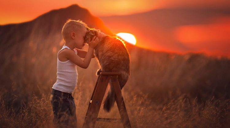 Photographer Lisa Holloway Beautifully Captured Their Cildren With Farm Animals