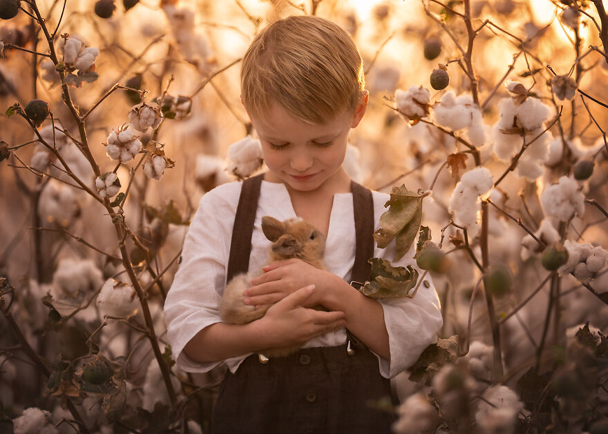 Lisa Holloway Kids Photography With Farm Animals