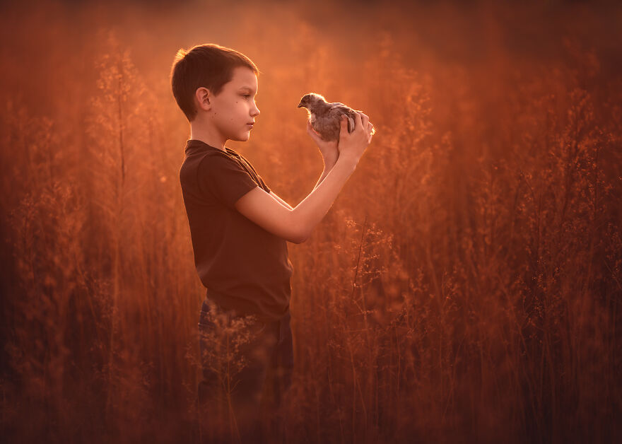 Lisa Holloway Kids Photography With Farm Animals