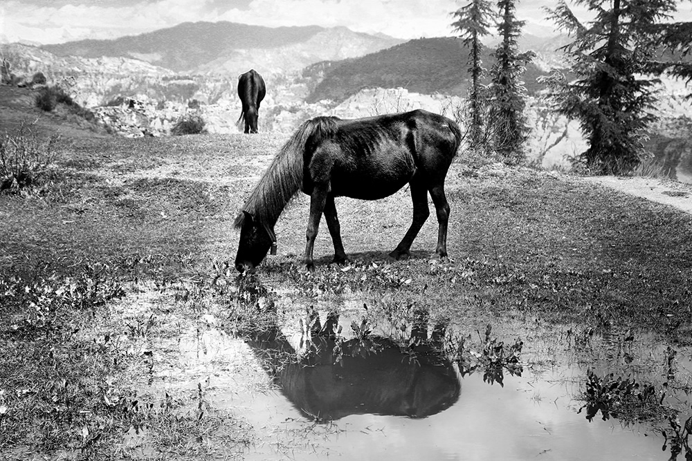 Beautiful Shimla In Black And White By Chanda Mathur