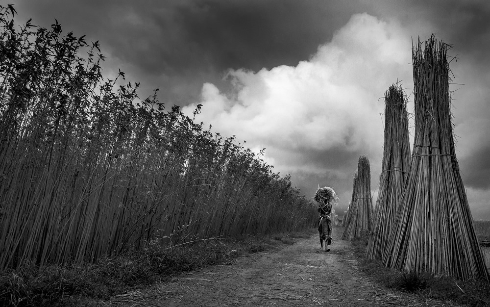 When The Monsoon Comes: Photo Series By Tuhin Biswas 